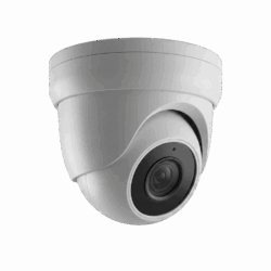 Video Surveillance Systems